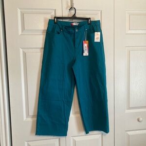Teal Wide-Leg Cropped Pants Size XL (14-16) NWT